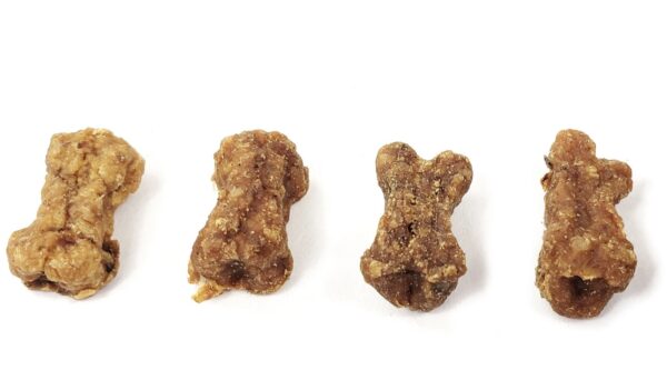 dog treat