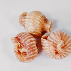 Trachea Balls
